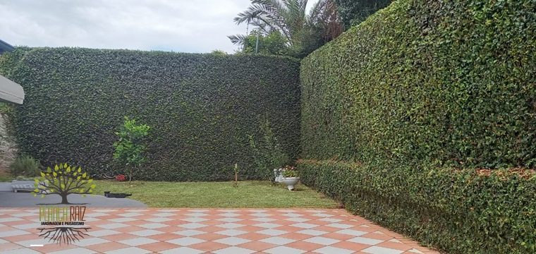 Jardinagem Curitiba | Planta e Raiz 41 997315839