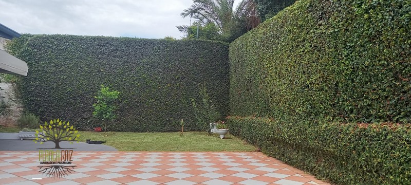 Jardinagem Curitiba | Planta e Raiz 41 997315839