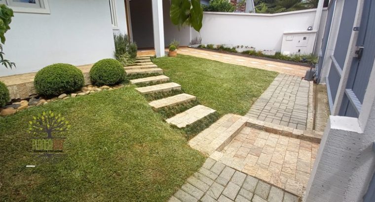 Jardinagem Curitiba | Planta e Raiz 41 997315839
