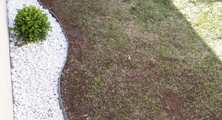 Jardinagem Curitiba | Planta e Raiz 41 997315839