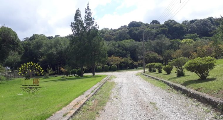 Jardinagem Curitiba | Planta e Raiz 41 997315839