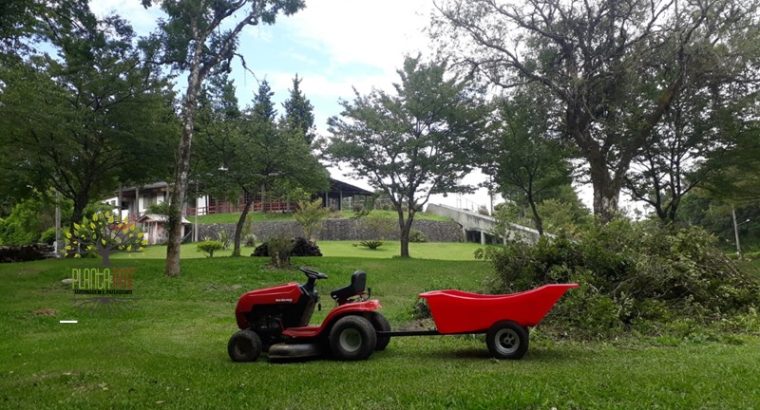 Jardinagem Curitiba | Planta e Raiz 41 997315839