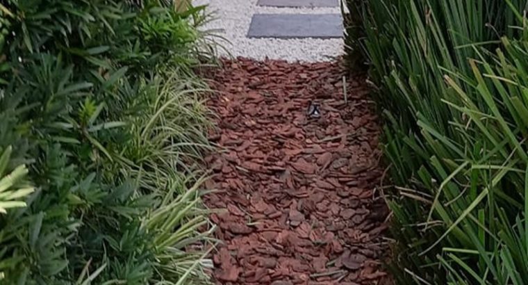 Jardinagem Curitiba | Planta e Raiz 41 997315839