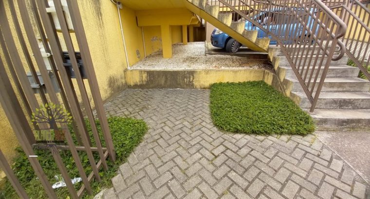 Jardinagem Curitiba | Planta e Raiz 41 997315839