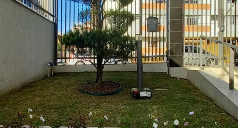 Jardinagem Curitiba | Planta e Raiz 41 997315839