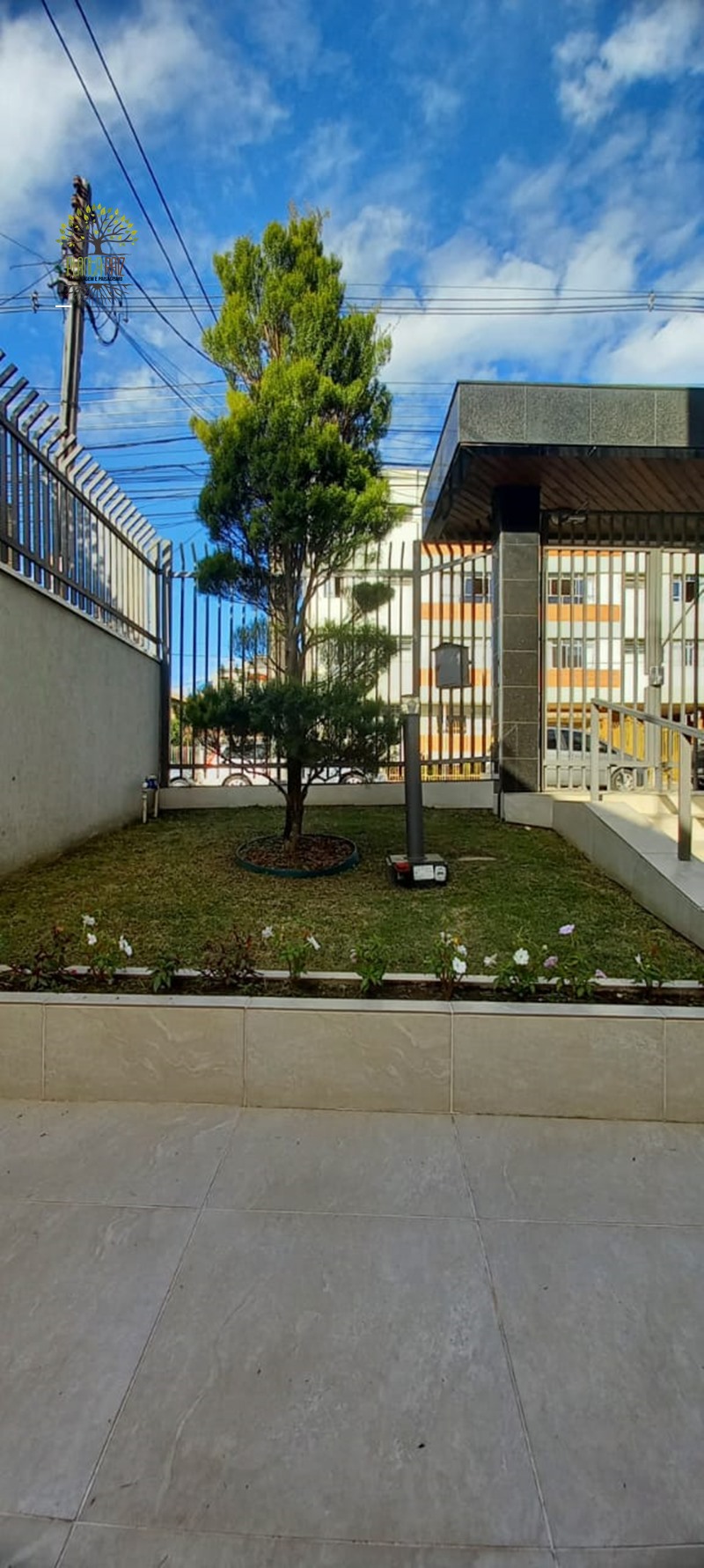 Jardinagem Curitiba | Planta e Raiz 41 997315839