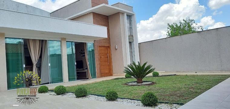 Jardinagem Curitiba | Planta e Raiz 41 997315839