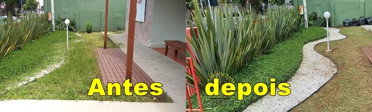 Jardinagem Curitiba | Planta e Raiz 41 997315839