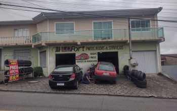 LD FORT PNEUS